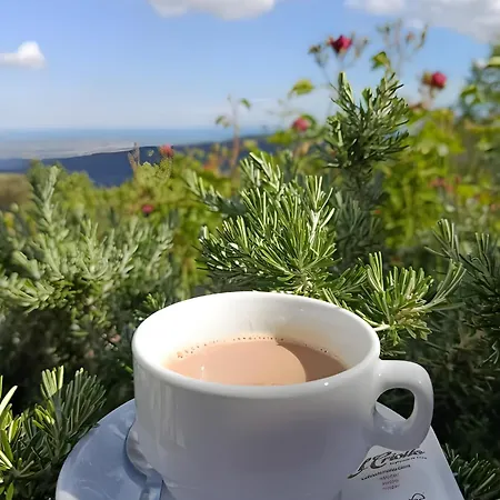 Habitacions Cor De Prades Frühstückspension 3*